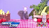 Why does Rambling Rabbit keep asking for help?